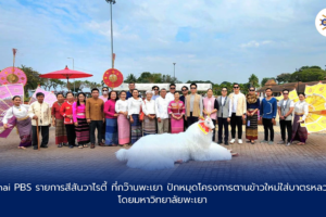 Thai PBS สีสันวาไรตี้ ที่กว๊านพะเยา ปักหมุดโครงการตานข้าวใหม่ใส่บาตรหลวง โดยมหาวิทยาลัยพะเยา